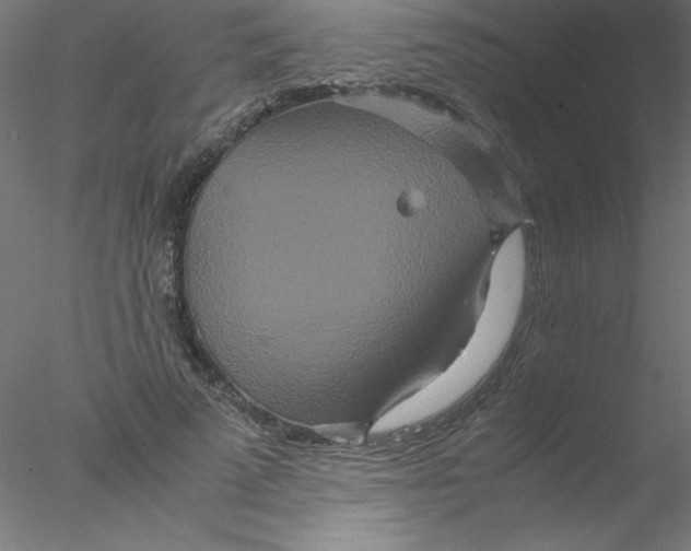 X0000076430689200611031840