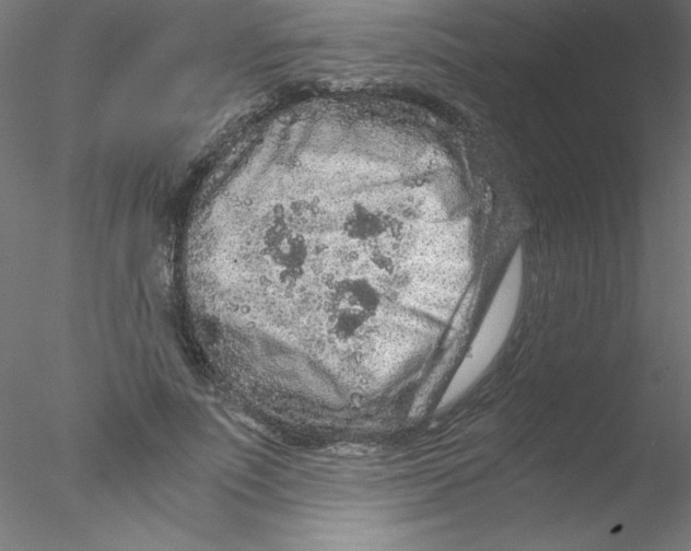 X0000076430691200611031840