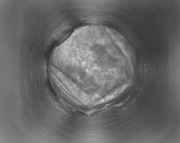 X0000076430696200611031840