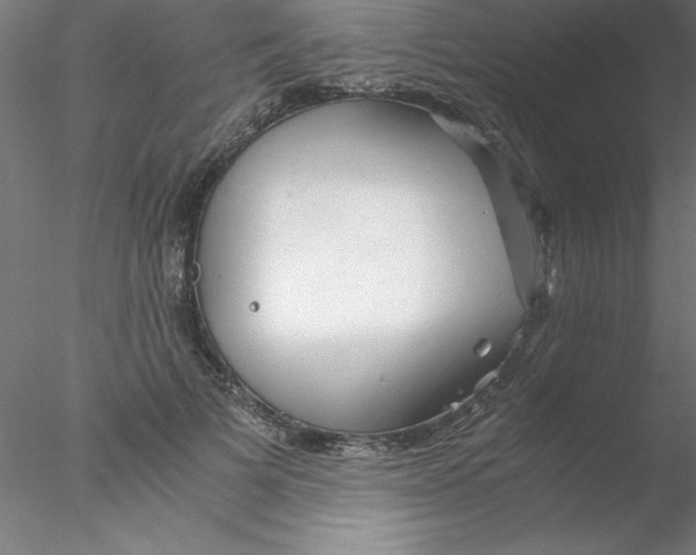 X0000076430697200611031840