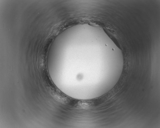 X0000076430706200611031839