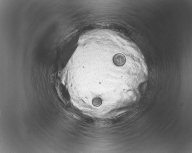 X0000076430707200611031839