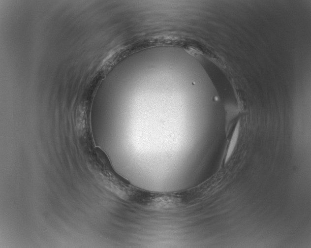 X0000076430708200611031839