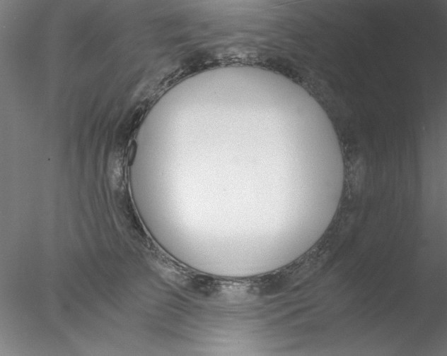 X0000076430709200611031839