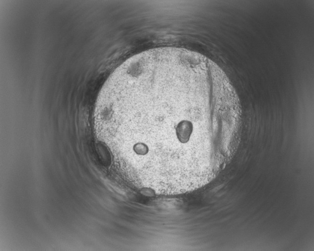 X0000076430711200611031839