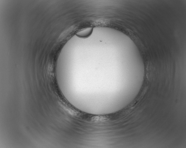 X0000076430714200611031839