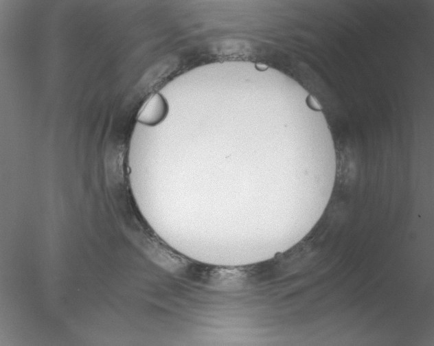 X0000076430717200611031839