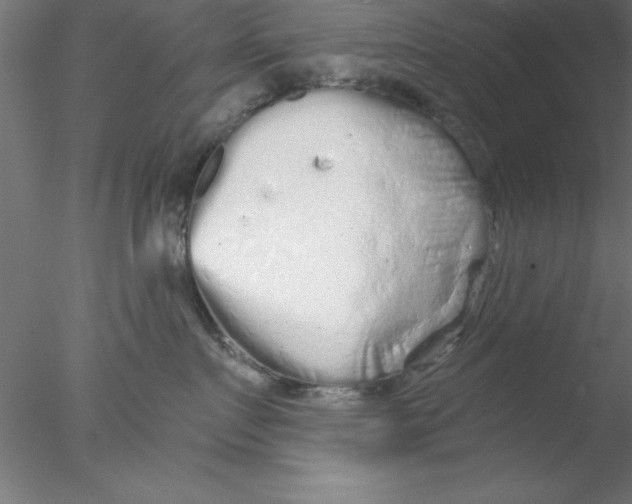 X0000076430719200611031839