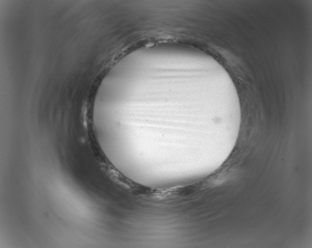 X0000076430720200611031839