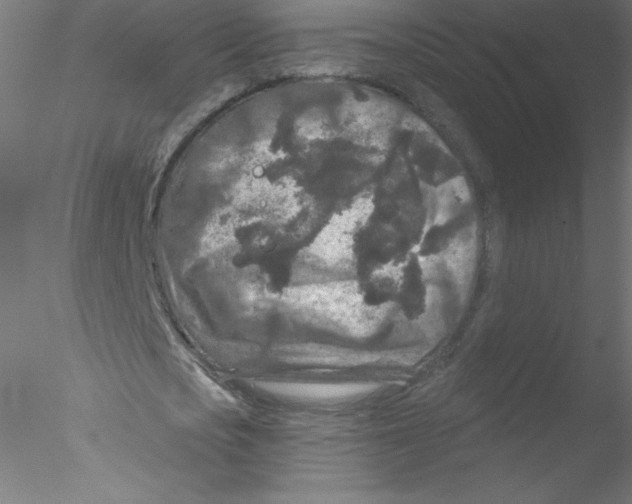 X0000076430721200611031838