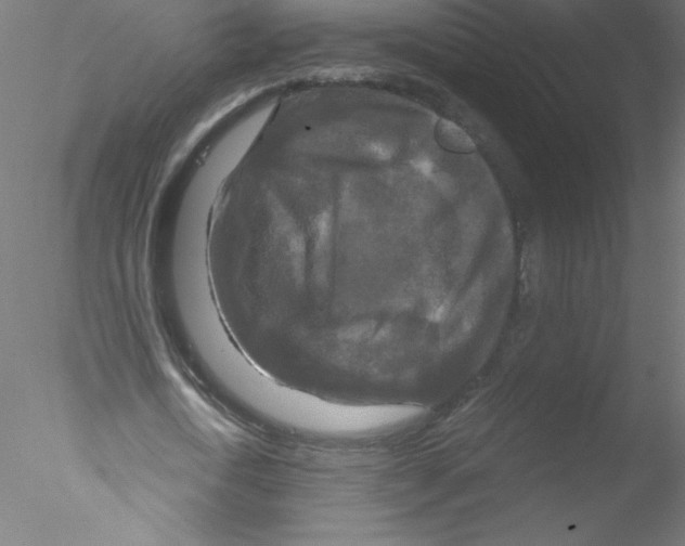 X0000076430722200611031838