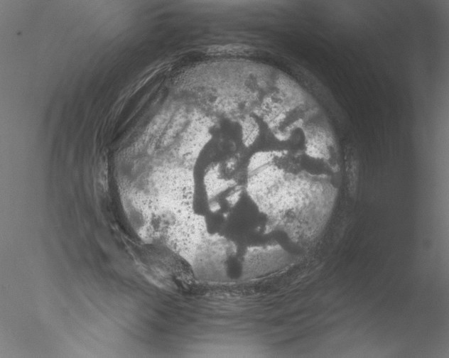 X0000076430729200611031839