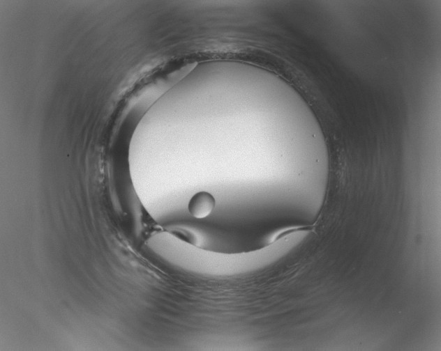 X0000076430731200611031839