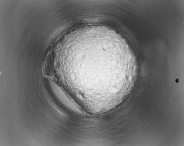 X0000076430733200611031839