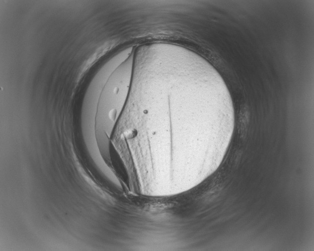 X0000076430734200611031839