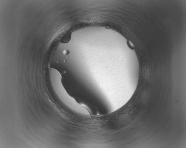 X0000076430735200611031839