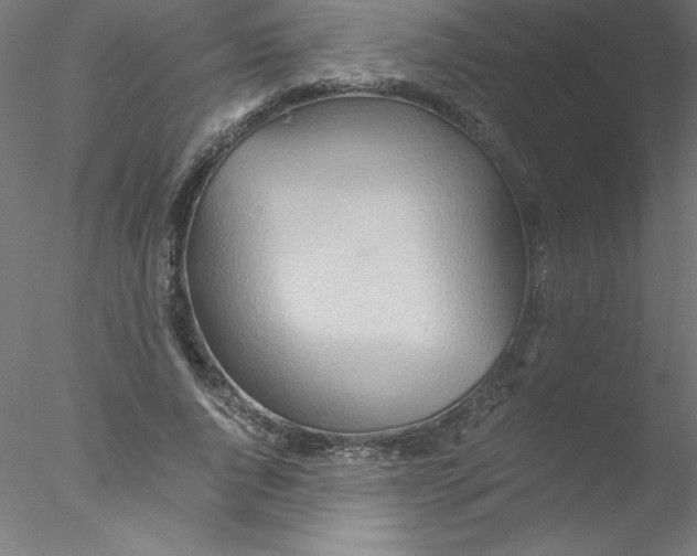 X0000076430736200611031839