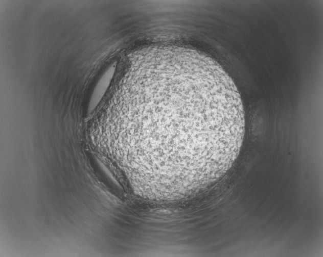 X0000076430737200611031839