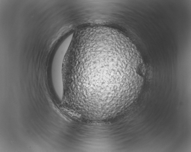 X0000076430738200611031839