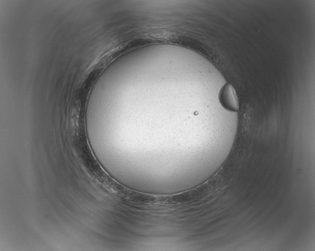 X0000076430739200611031839