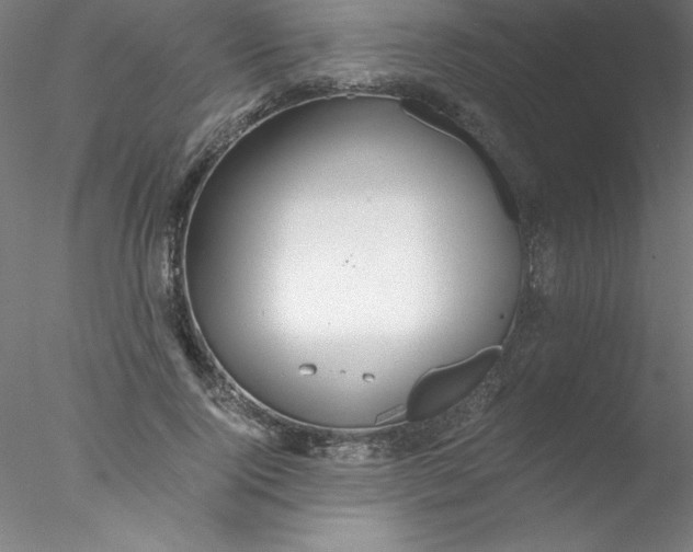 X0000076430740200611031839