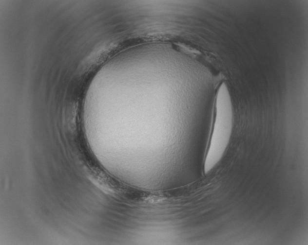 X0000076430742200611031839