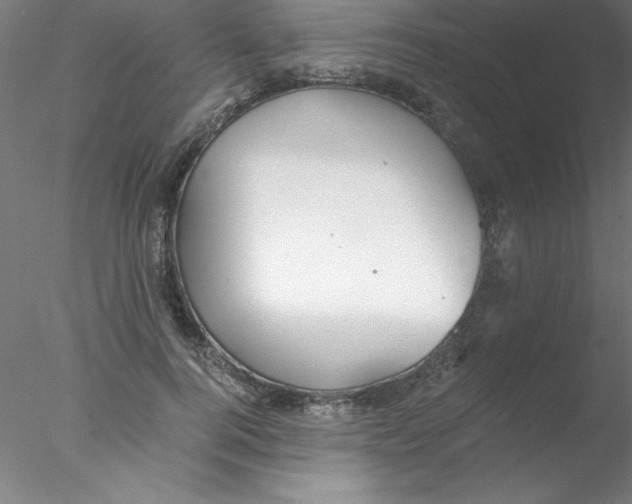 X0000076430744200611031839