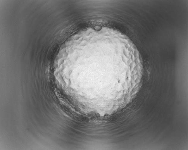 X0000076430745200611031839