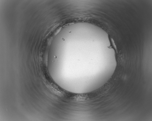 X0000076430756200611031839