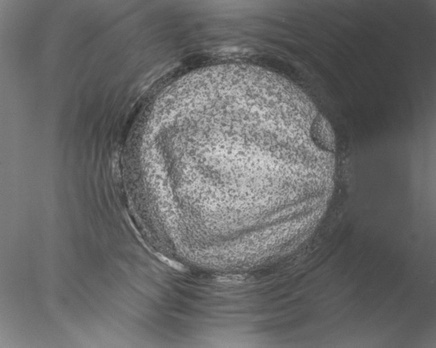 X0000076430757200611031839