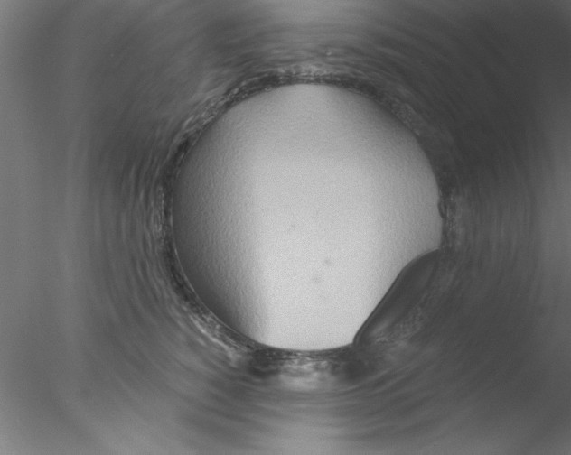 X0000076430760200611031839