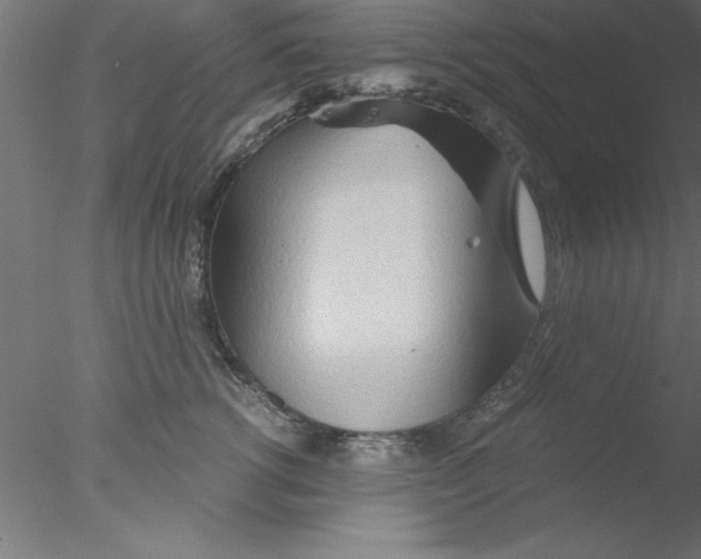 X0000076430762200611031839