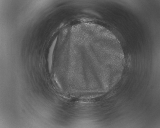 X0000076430763200611031839