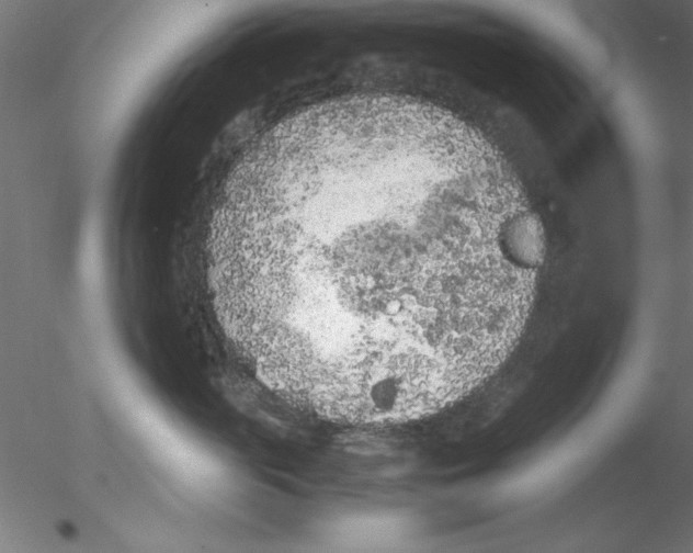 X0000076430765200611031839