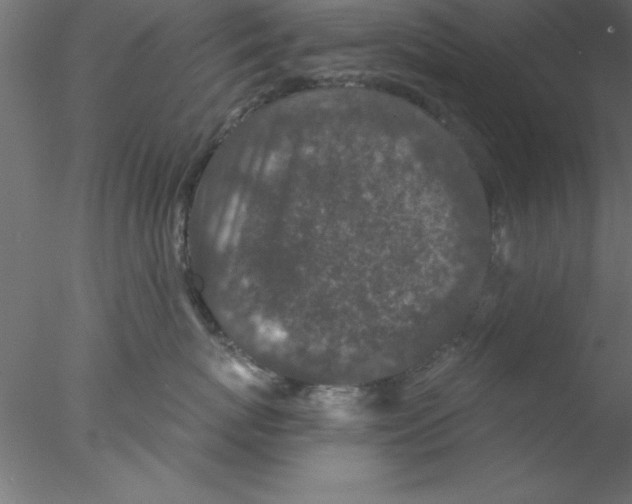 X0000076430767200611031839