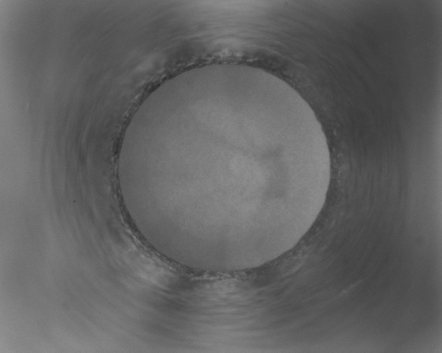 X0000076430769200611031838