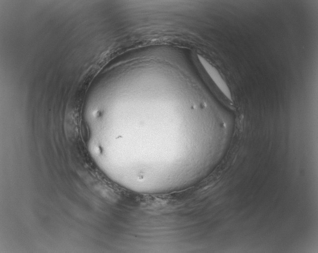 X0000076430772200611031838