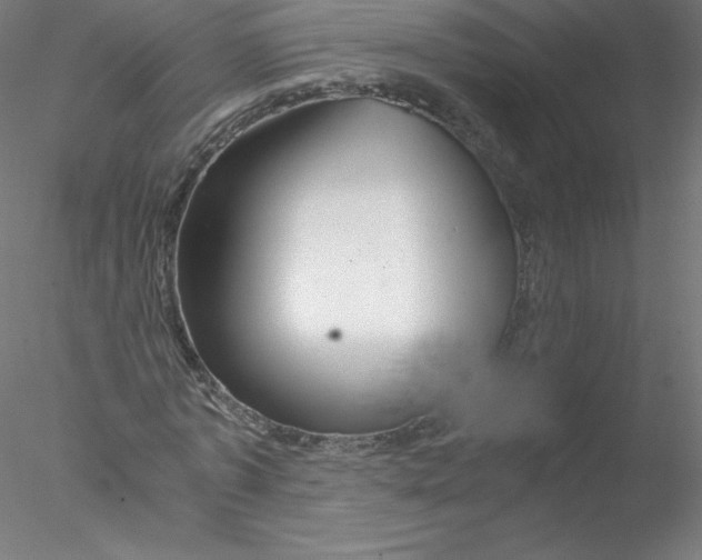 X0000076430773200611031838