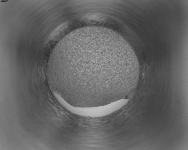 X0000076430774200611031838