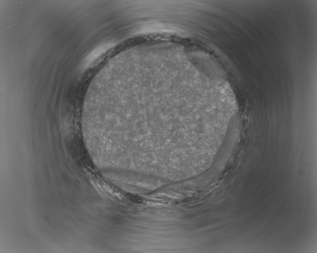 X0000076430775200611031838