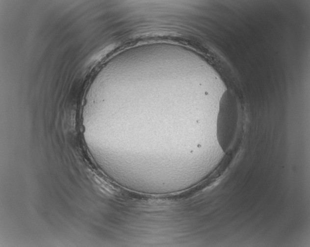 X0000076430777200611031838