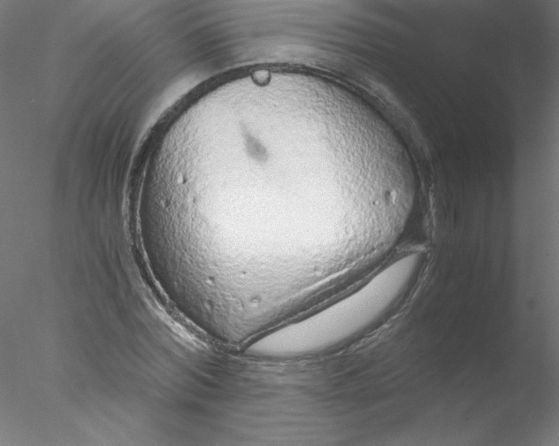 X0000076430780200611031838