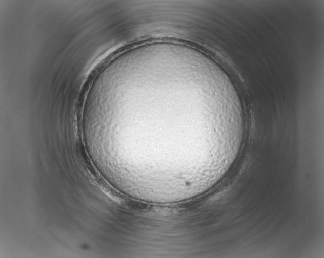 X0000076430782200611031838