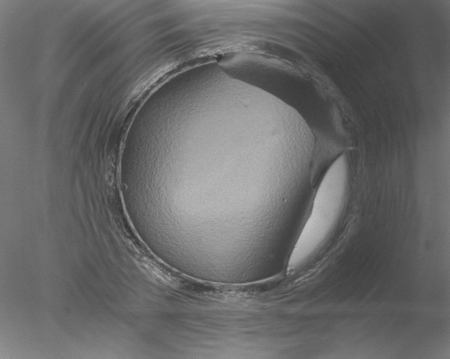 X0000076430785200611031838