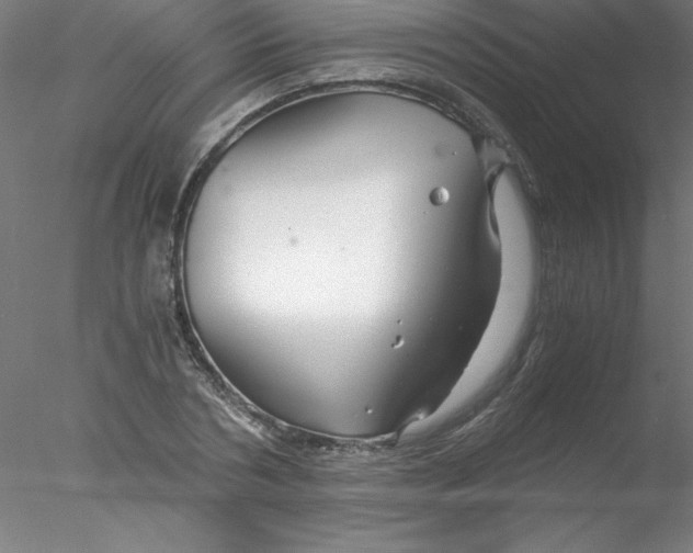 X0000076430786200611031838