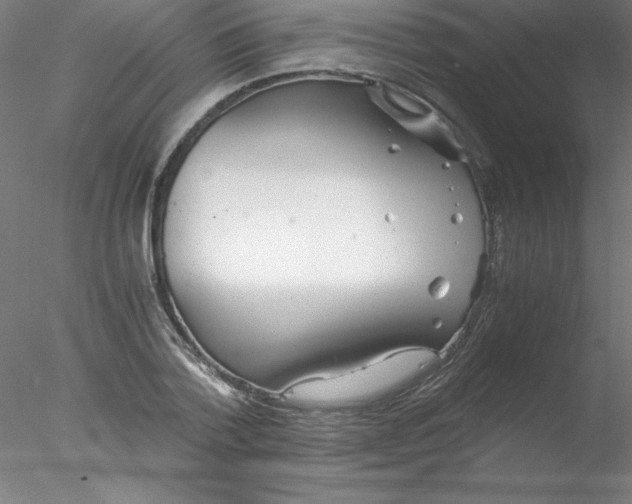 X0000076430788200611031838