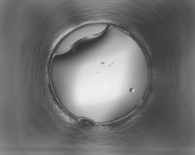 X0000076430789200611031838