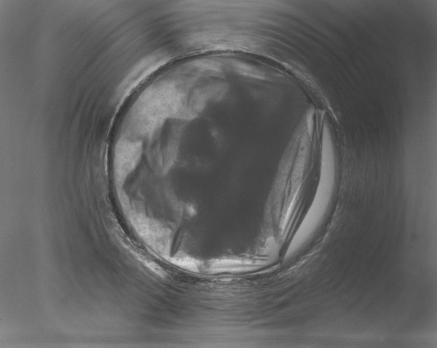 X0000076430790200611031838