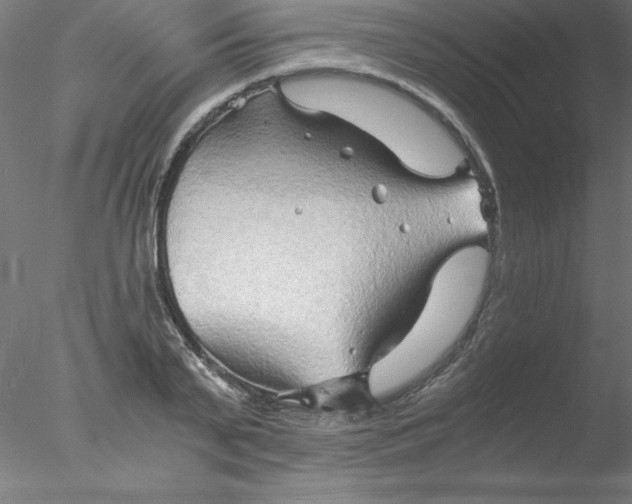 X0000076430791200611031838