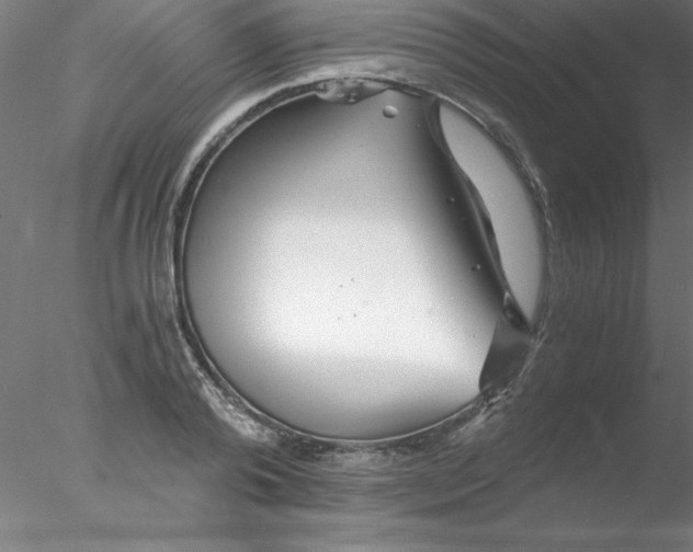 X0000076430792200611031838